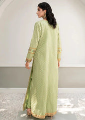 SUBLIME APPLE (Gown) – Noorangi – Silk