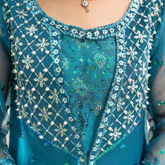 Celestial zinc Gown – Noorangi – Organza – Silk