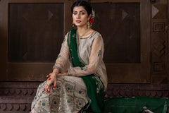 Kajra – Pret – Noorangi – Organza