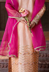 Raagini – Pret – Noorangi – Organza