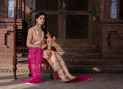 Raagini – Pret – Noorangi – Organza