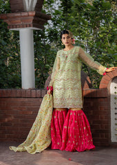 Mahtab – Pret – Noorangi – Organza