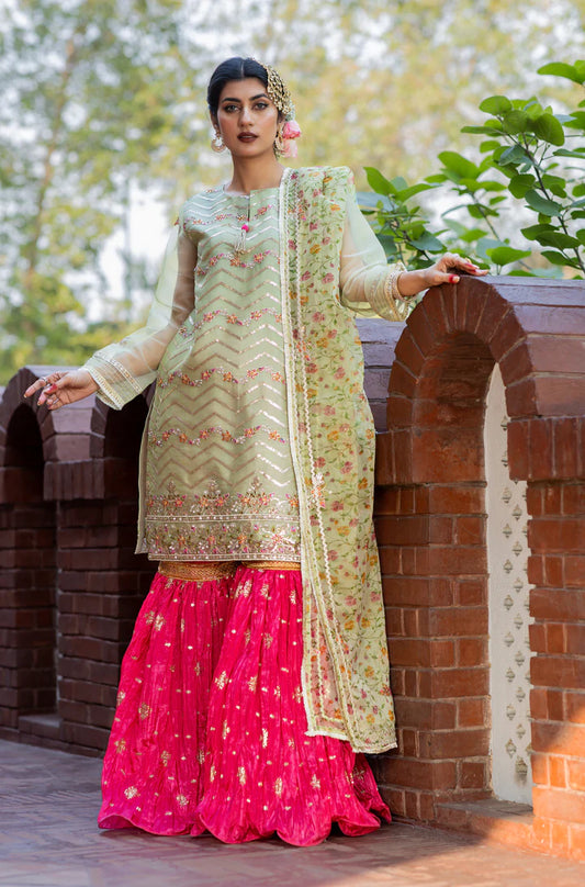 Mahtab – Pret – Noorangi – Organza