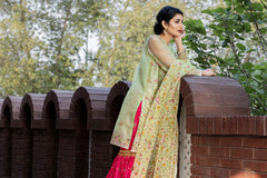 Mahtab – Pret – Noorangi – Organza