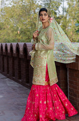 Mahtab – Pret – Noorangi – Organza