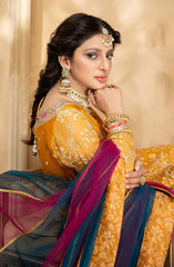 UBTAN – Noorangi – Organza