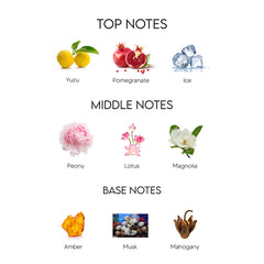 BEAUTY QUEEN đź‘° VERSACE CRYSTAL BRIGHT