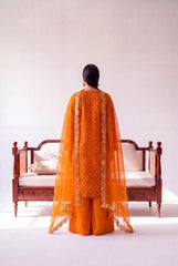 Amber Noor