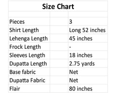 Antique Elegance Radiance Lehenga – Noorangi – Net