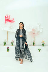 Printed Lawn 3 Piece