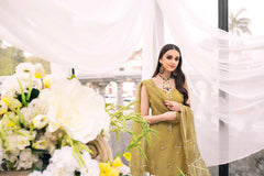 IRENE – NOORANGI – RAW SILK