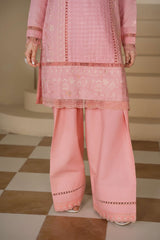 Mahjabeen 🌸