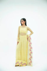 SF-258 | Embroidered Organza 4Pcs Saree | Luxury Formal