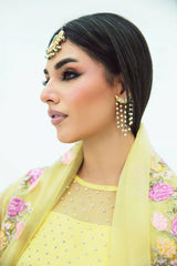 SF-258 | Embroidered Organza 4Pcs Saree | Luxury Formal