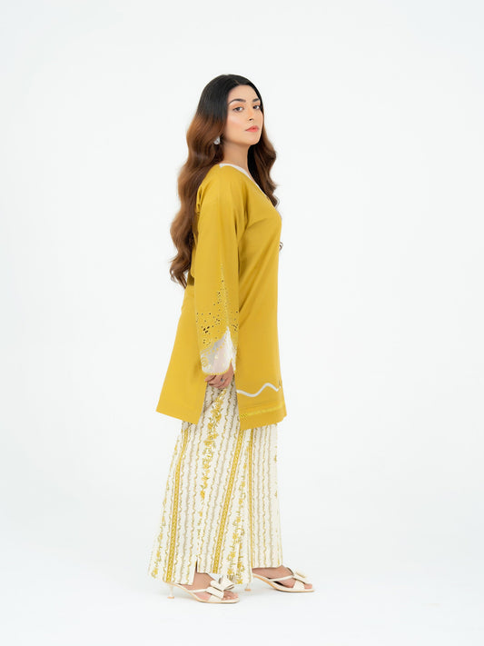 2 PIECE - EMBROIDERED SUIT