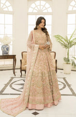 πππ πππππ β Noorangi β Gulbadan Wedding Dress