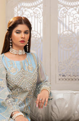 PAISLEY β Noorangi β Organza