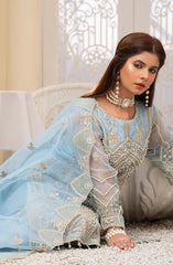 PAISLEY β Noorangi β Organza