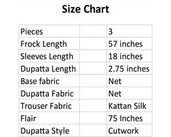 Pink Blush Silver Maxi – Noorangi – Net