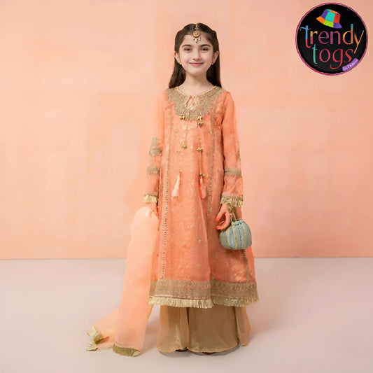 Girl's Party Wear/3 Pcs Organza Dress