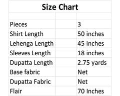 Skyline Splendor Bridal Lehenga – Noorangi – Net