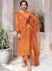 Desert Rose – Noorangi – Net -Silk – Organza