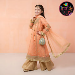 Girl's Party Wear/3 Pcs Organza Dress