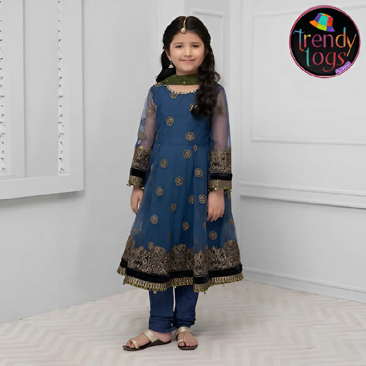 Girl's Party Wear/3 Pcs Net Dress