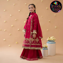 Girl's Party Wear/3 Pcs Chiffon Dress