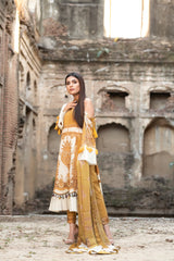 Daft-e-Hawa noorangi