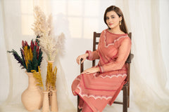 Enchanted Glow - Winter Festive Collection 2022 By Noorangi noorangi