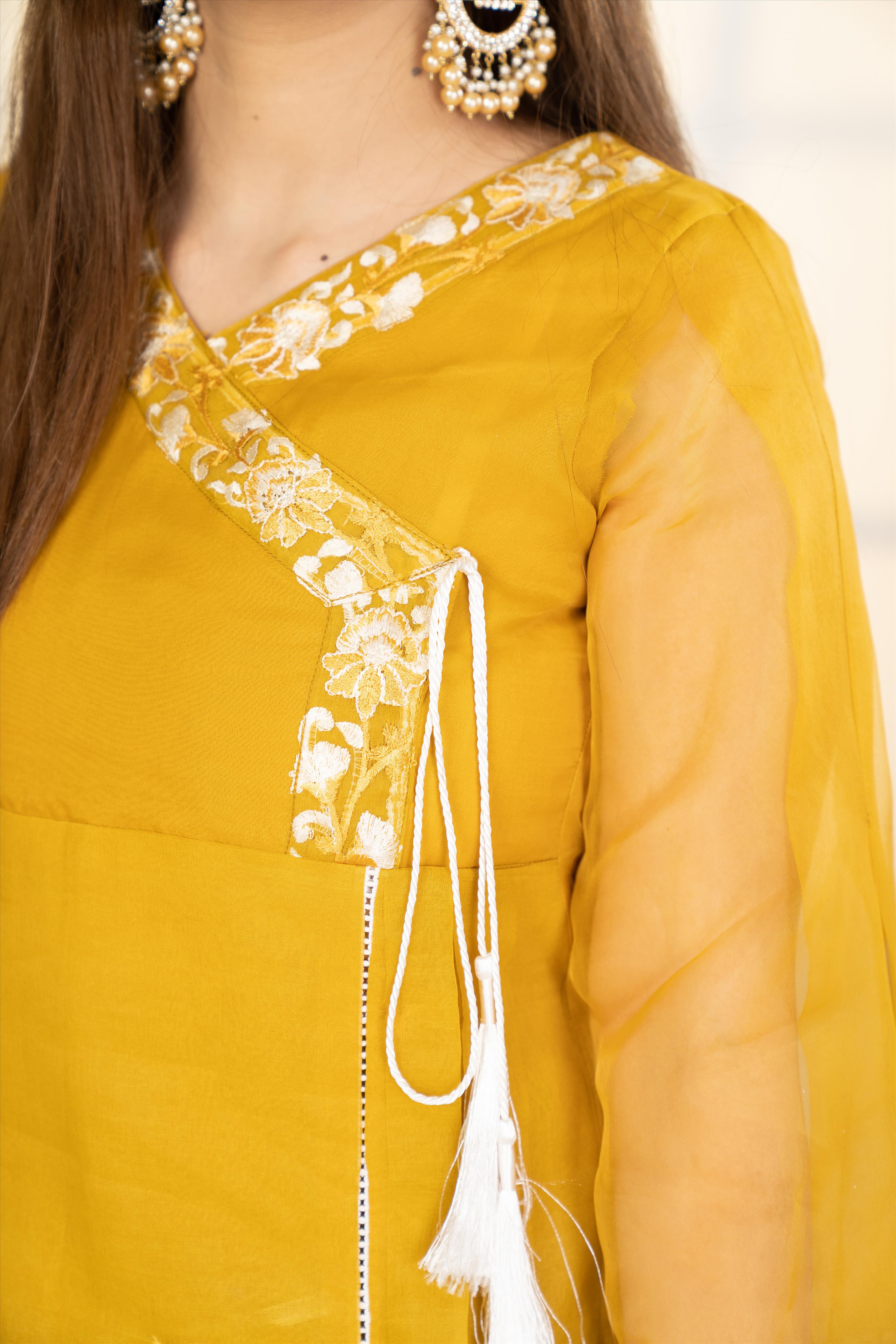 Mimosa - Winter Festive Collection 2022 By Noorangi noorangi