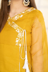 Mimosa - Winter Festive Collection 2022 By Noorangi noorangi