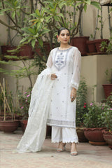 Nova - Amour Luxury Pret Collection By Noorangi noorangi