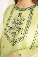 Pistachio - Winter Festive Collection 2022 By Noorangi noorangi