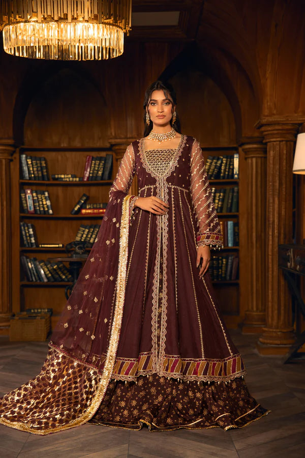 Mariana – Noorangi – Net – Raw Silk