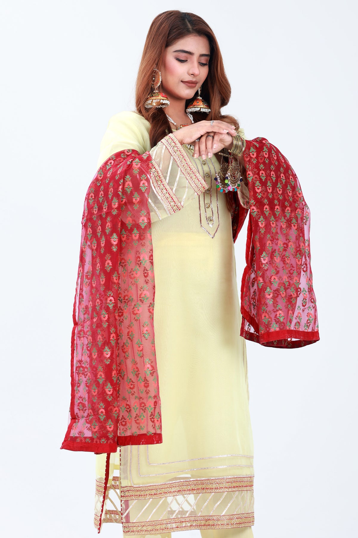 Roshni Main image