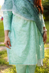 Printed Lawn 3-Piece Stitched Suit with Chiffon Dupatta