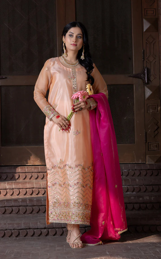 Raagini – Pret – Noorangi – Organza