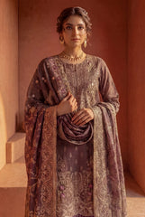 Dark Shadow – Earthy Brown & Plum Embroidered Ensemble