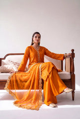 Amber Noor