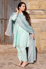 Printed Lawn 3-Piece Stitched Suit with Chiffon Dupatta