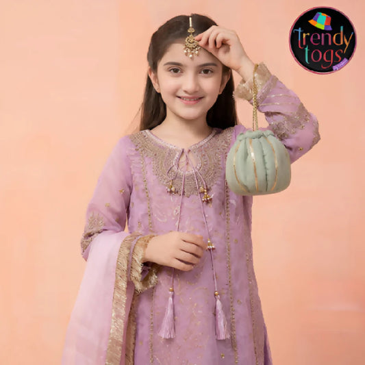 Girl's Party Wear/3 Pcs Organza Dess