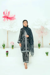 Printed Lawn 3 Piece