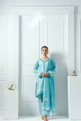 Printed Lawn 3 Piece