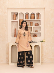 2 PIECE - EMBROIDERED CO-ORD SET