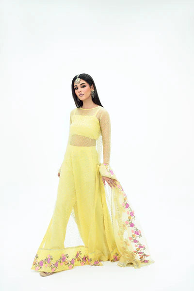 SF-258 | Embroidered Organza 4Pcs Saree | Luxury Formal