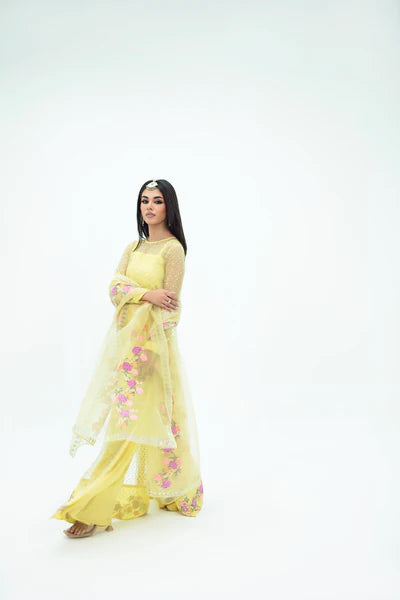 SF-258 | Embroidered Organza 4Pcs Saree | Luxury Formal