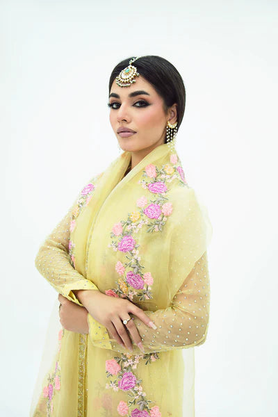 SF-258 | Embroidered Organza 4Pcs Saree | Luxury Formal Main image