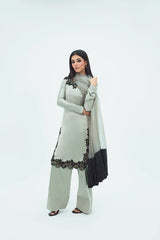 SF-265 | Embroidered Premium Silk 3Pcs | Luxury Formal